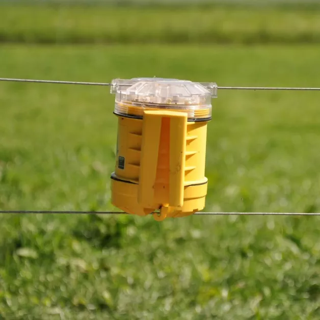 Anti prédateur Foxlights Gallagher  Anti prédateur Foxlights Gallagher