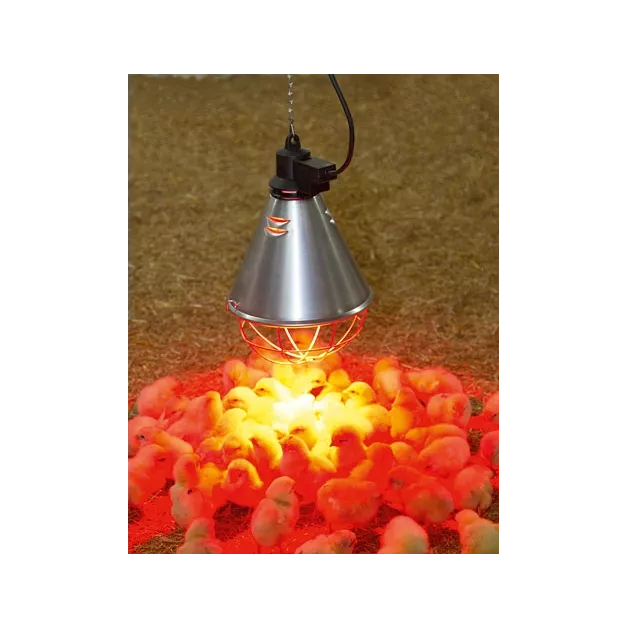 Lampe chauffante à ampoule infrarouge