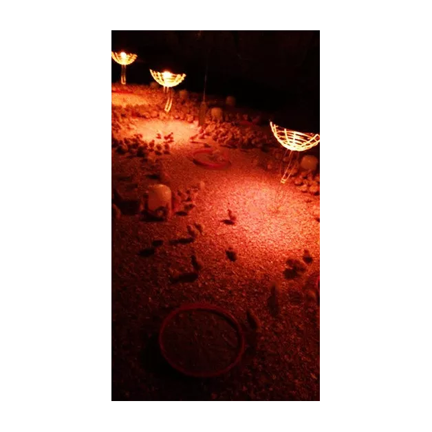 Protecteur de lampe chauffante à fibre de carbone Chick’a interheat