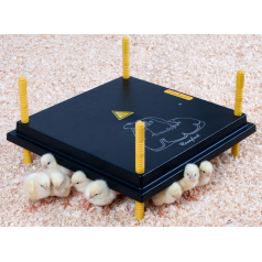 Panneaux chauffants pour poussins Chik’a