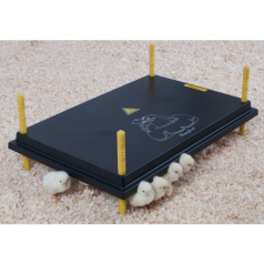 Panneaux chauffants pour poussins Chik’a