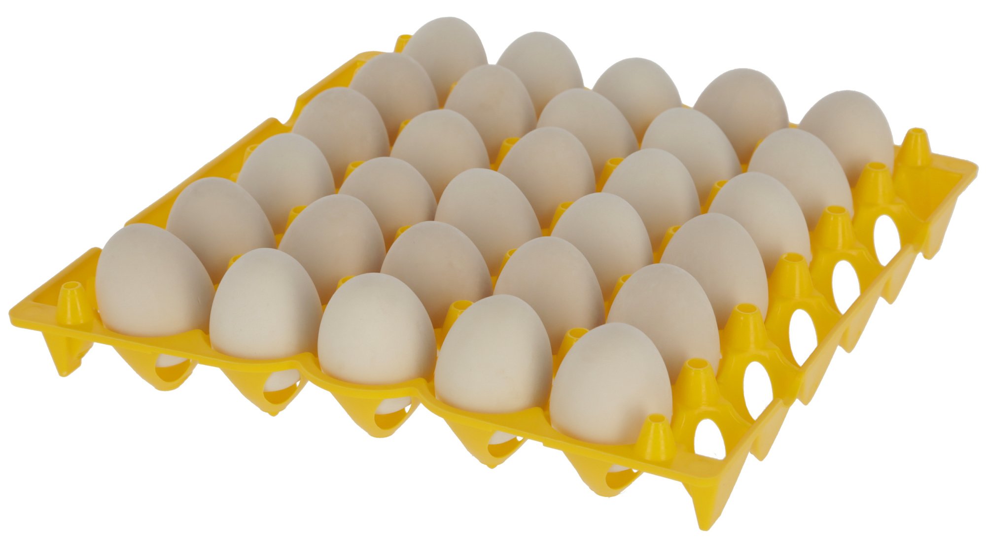 Boîte à Œufs Portable 4 Compartiments - Plastique Antichoc - Pour Camping, Pique-nique, Randonnée - Protège Les Œufs Pendant Le Transport
