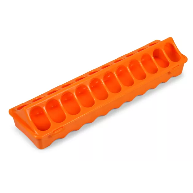 Mangeoire linéaire pour poussins  Mangeoire linéaire pour poussins