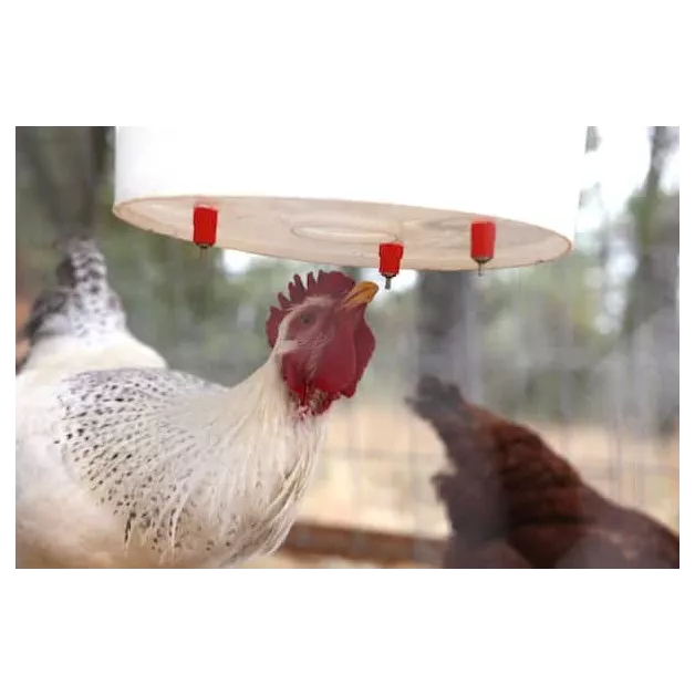 Abreuvoir à tétine pour volailles (4 pièces)