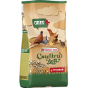 Complément Grit + vitamines pour poule Versele-Laga 1.5 kg