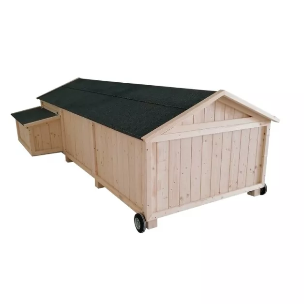 Poulailler Sylvestre du Roi de la Poule