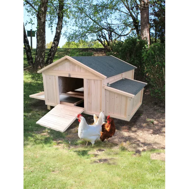 Poulailler Sylvestre du Roi de la Poule