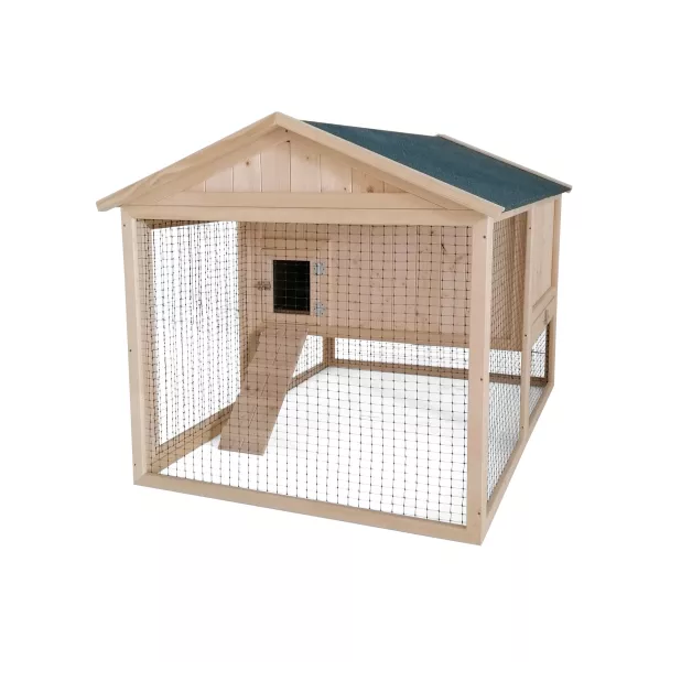 Poulailler Sylvestre du Roi de la Poule