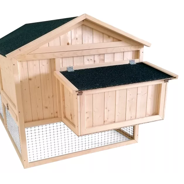 Poulailler Sylvestre du Roi de la Poule