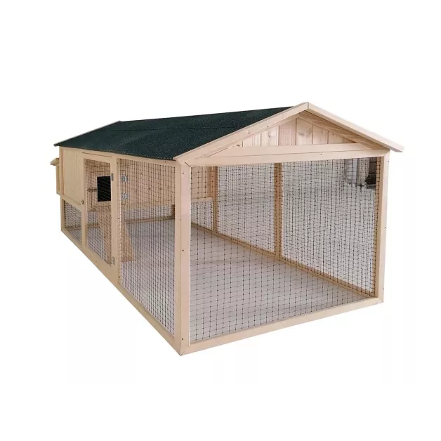 Poulailler Sylvestre du Roi de la Poule