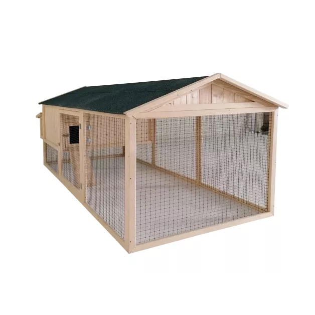 Poulailler Sylvestre du Roi de la Poule