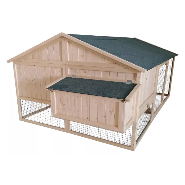 Poulailler Sylvestre du Roi de la Poule