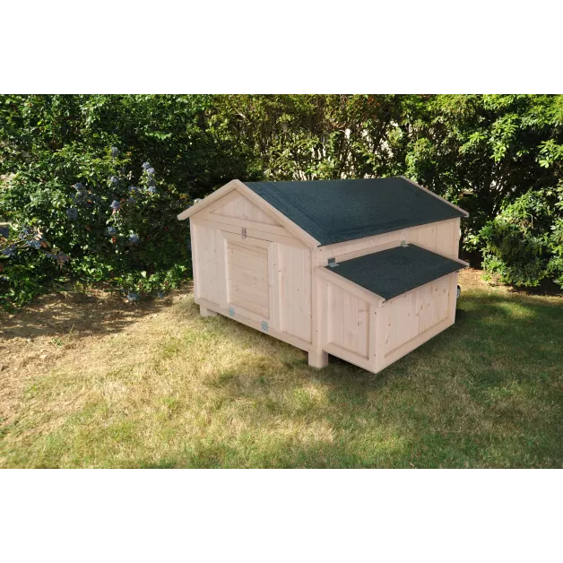 Poulailler Sylvestre du Roi de la Poule