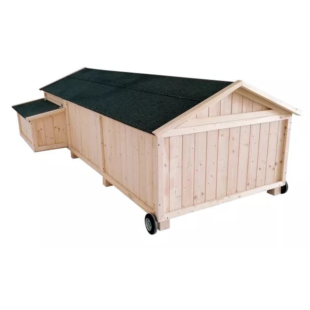 Poulailler Sylvestre du Roi de la Poule