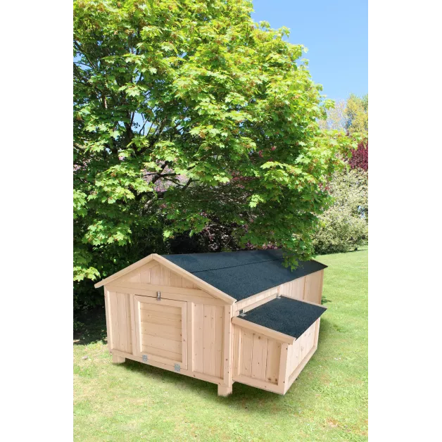 Poulailler Sylvestre du Roi de la Poule