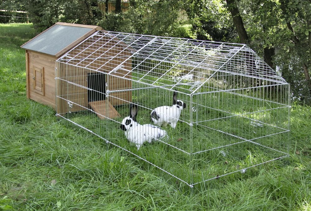 Abri Pour Lapin Ext rieur Comment Installer Un Enclos Pour Lapin Nain Abri Pour Lapin Ext rieur Comment Installer Un Enclos Pour Lapin Nain