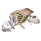 Râtelier à foin en bois pour lapins, cochons d’Inde ou hamsters
