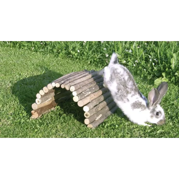 Jouet en bois pour petits rongeurs Jouet en bois pour petits rongeurs