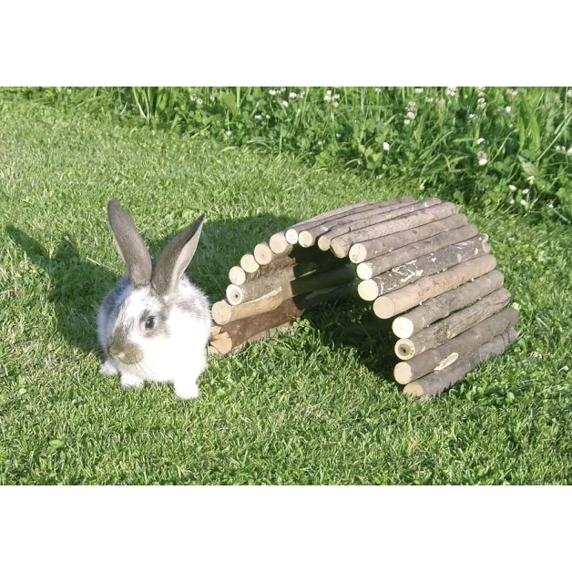 Jouet en bois pour petits rongeurs Jouet en bois pour petits rongeurs