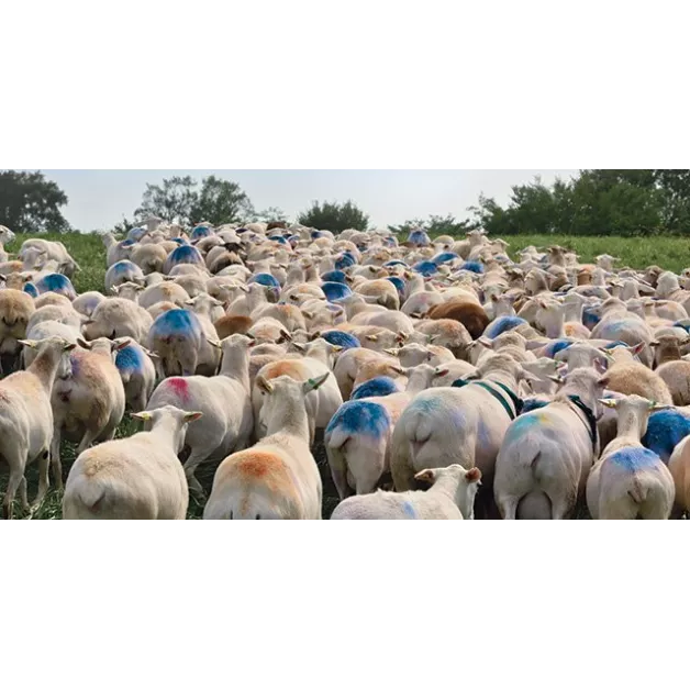 Bloc marqueur pour harnais bélier