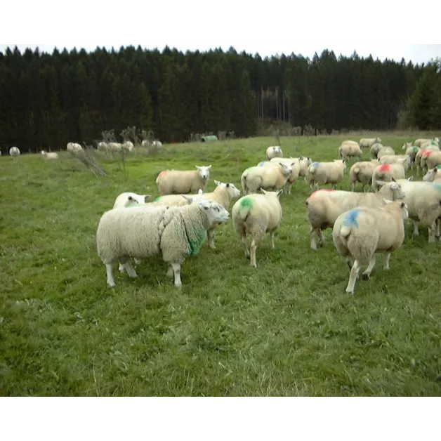 Bloc marqueur pour harnais bélier