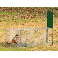 Boîte à fauve, idéale pour attraper les renards