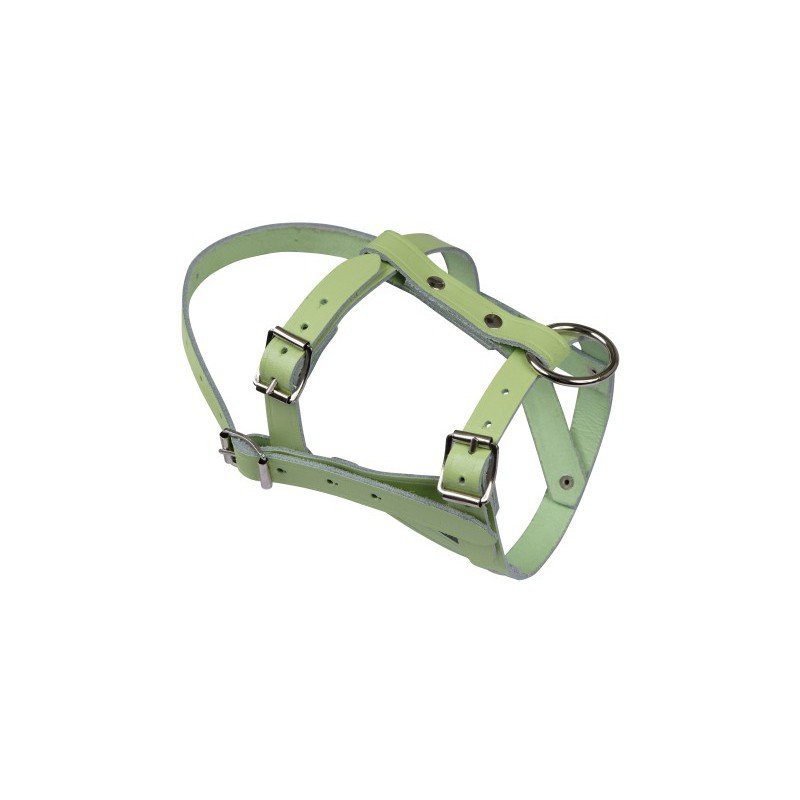 Licou Nylon Vert Taille LG - Pour Mini Cheval, Chèvre, Alpaga - Weaver