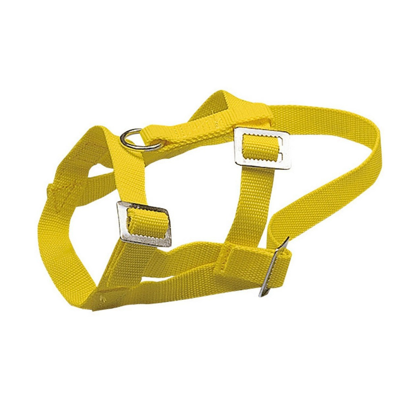 Kerbl Licol Réglable Pour Alpaga Orange 20 Mm - Polypropylène, Confort Et Sécurité Pour Animaux