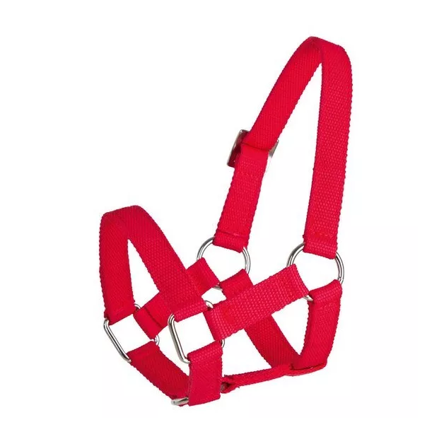 Licol pour mouton et alpaga