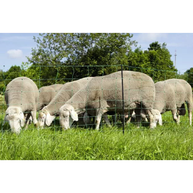 Filet ou pack électrique pour chèvre ou mouton Filet ou pack électrique pour chèvre ou mouton