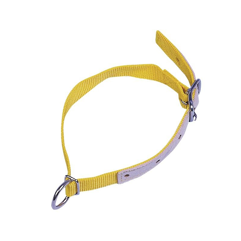 Collier en nylon pour moutons et chèvres Collier en nylon pour moutons et chèvres