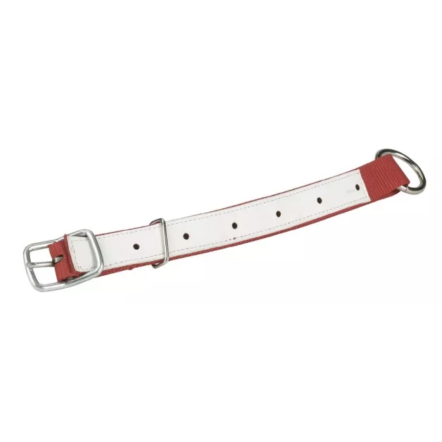 Collier en nylon pour moutons et chèvres