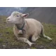 Cloche alpine en laiton pour moutons