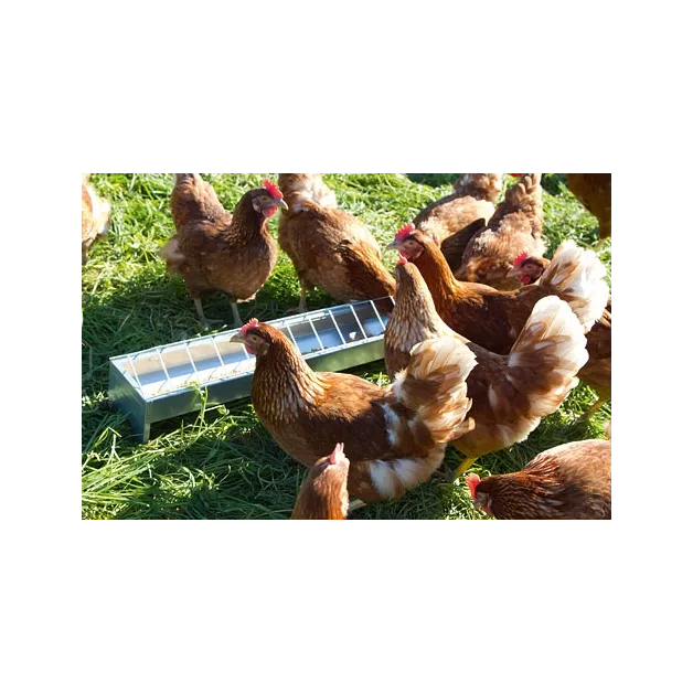 Mangeoires en acier galvanisé pour nourrir vos poules Mangeoires en acier galvanisé pour nourrir vos poules