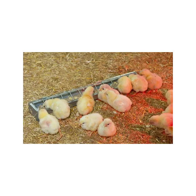 Mangeoires en acier galvanisé pour nourrir vos poules Mangeoires en acier galvanisé pour nourrir vos poules