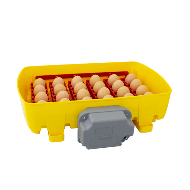 Couveuses 12,24 et 49 œufs automatiques River