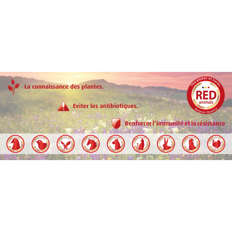 Complément alimentaire fertilité Vit E + selenium Red Animals 500 ml