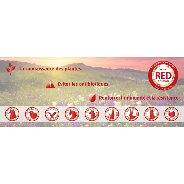 Produit anti-poux Poustop Red Animals pour volailles