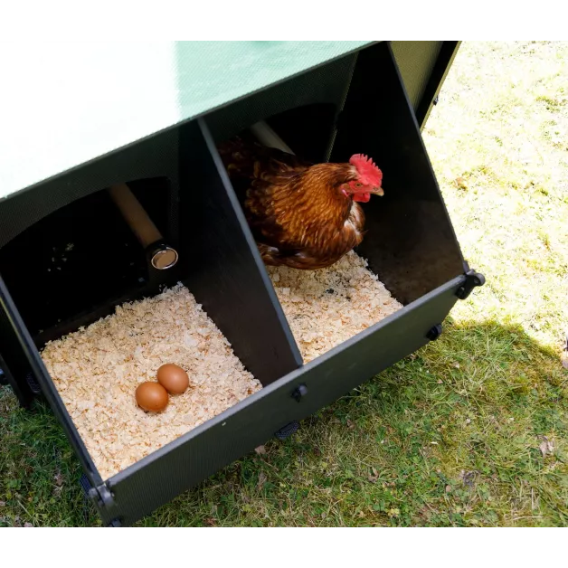 Poulailler iglou-écodesign sur pieds en plastique recyclé impérissable Poulailler iglou-écodesign sur pieds en plastique recyclé impérissable