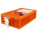 Cage de transport  pour poules, poulets et canards