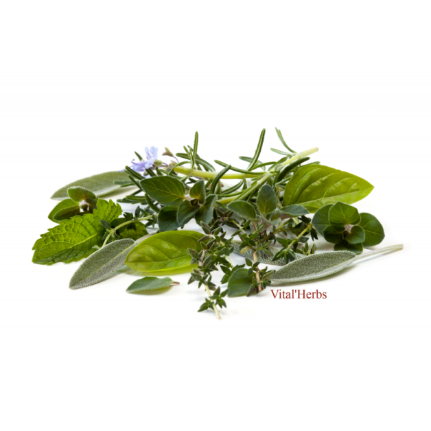 Vital Herbs : Gastro Less – acidité estomac Vital Herbs : Gastro Less – acidité estomac
