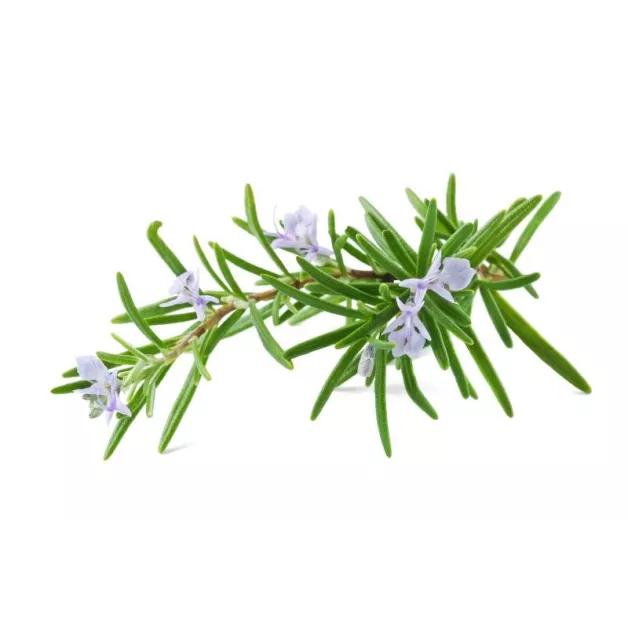 Vital Herbs : Derm care crème