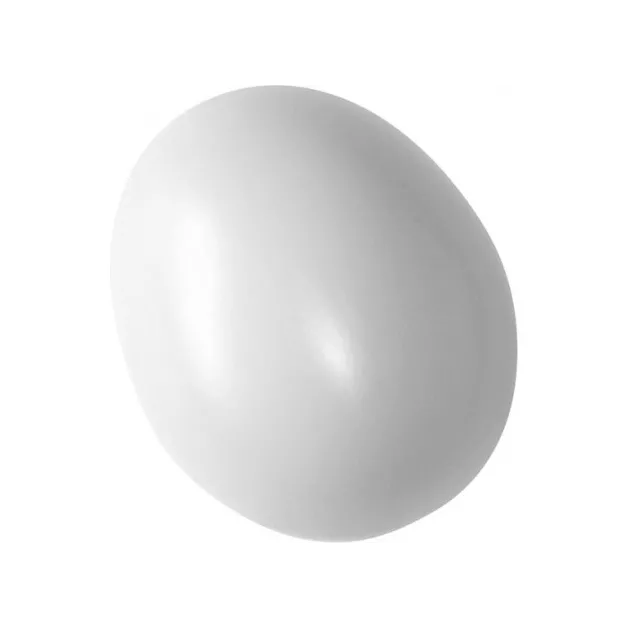 Faux œufs pour favoriser la ponte de vos poules