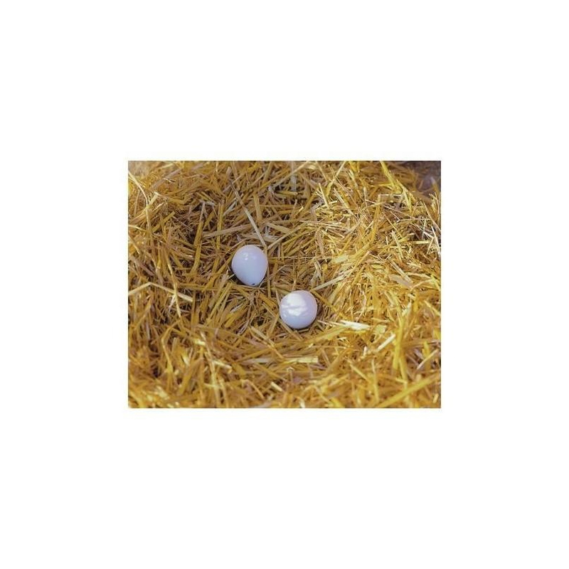 Faux œufs Pour Favoriser Et Fixer La Ponte Des Poules