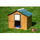 Pack famille ZEN poulailler HPL + enclos + abreuv + trémie + aliments pour 3 poules