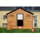 Pack famille ZEN poulailler HPL + enclos + abreuv + trémie + aliments pour 3 poules