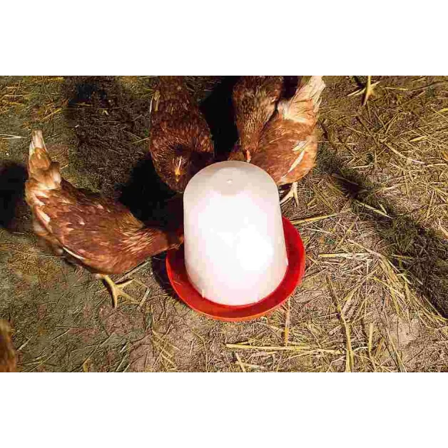 Abreuvoir siphoïde pour volaille en PVC à poser au sol