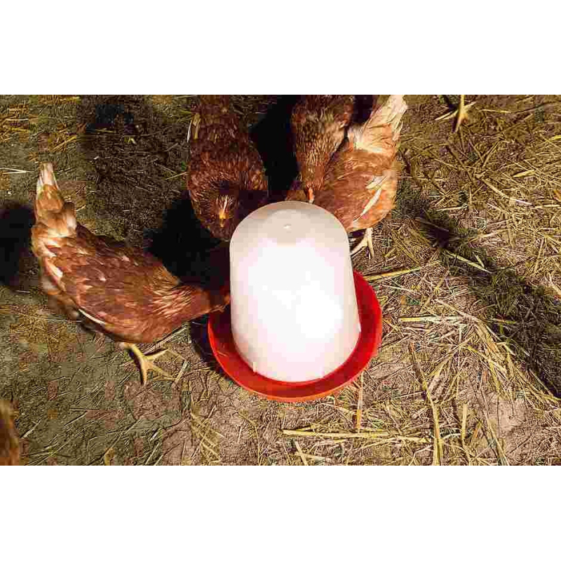 Abreuvoir Poule Pas Cher En Pvc Siphoïde