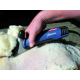 Pack entretien du mouton