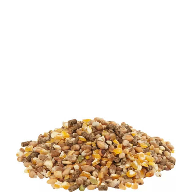 Aliment pour poules pondeuses Gold 4 mix Versele-Laga Aliment pour poules pondeuses Gold 4 mix Versele-Laga